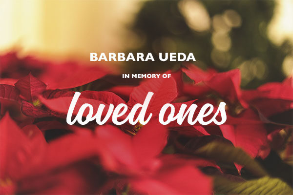 Homepage_Modules_600x400_Poinsettias_BarbaraUeda