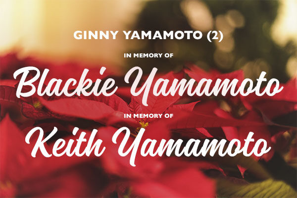 Homepage_Modules_600x400_Poinsettias_GinnyYamamoto