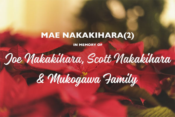 Homepage_Modules_600x400_Poinsettias_Mae-Nakakihara