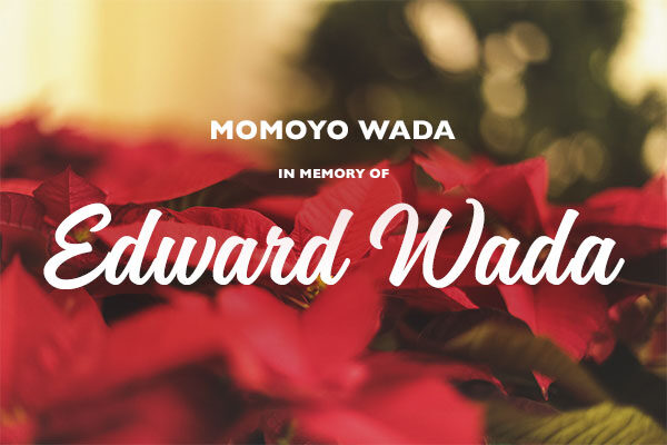 Homepage_Modules_600x400_Poinsettias_Momoyo-Wada