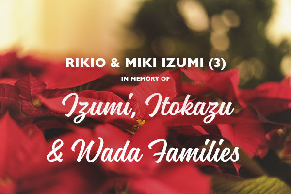 Homepage_Modules_600x400_Poinsettias_Rikio-Miki_Izumi