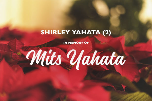 Homepage_Modules_600x400_Poinsettias_ShirleyYahata