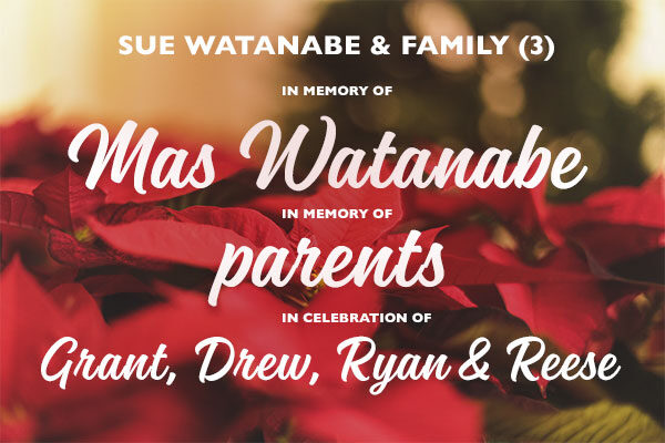 Homepage_Modules_600x400_Poinsettias_SueWatanabe