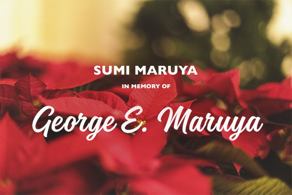 Homepage_Modules_600x400_Poinsettias_SumiMaruya