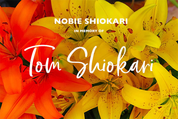 12_Homepage_Modules_600x400_Easter-Lilies_Nobie-Shiokari