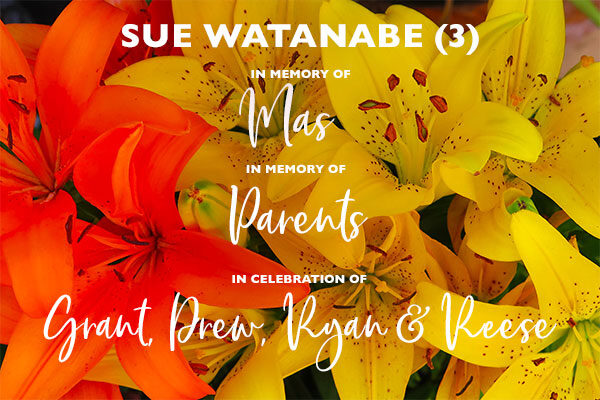 22_Homepage_Modules_600x400_Easter-Lilies_Sue-Watanabe